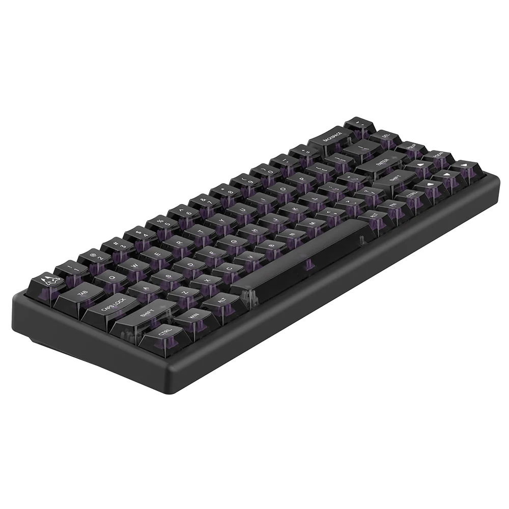 Arbiter Studio Polar 65 Keyboard Phantom Series Phantom Black - Image 5