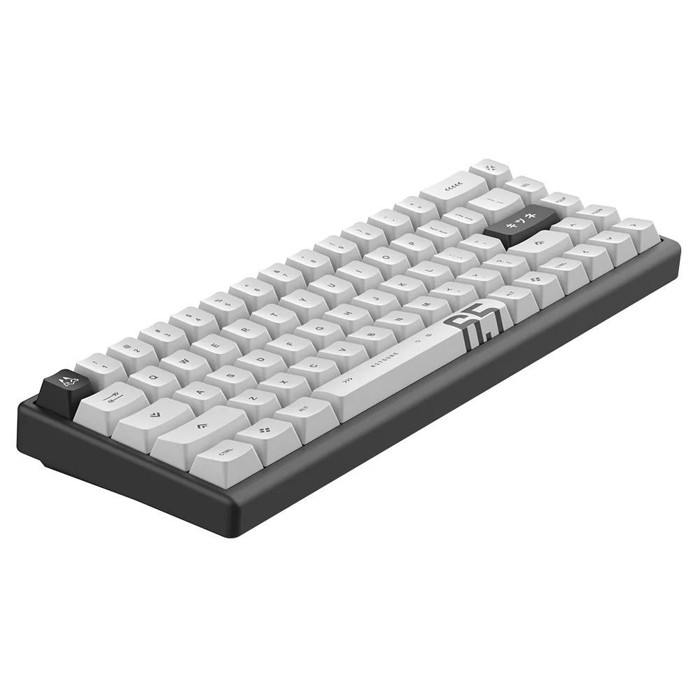 Arbiter Studio Polar 65 Pro Keyboard Kitsune Black frame - Image 7