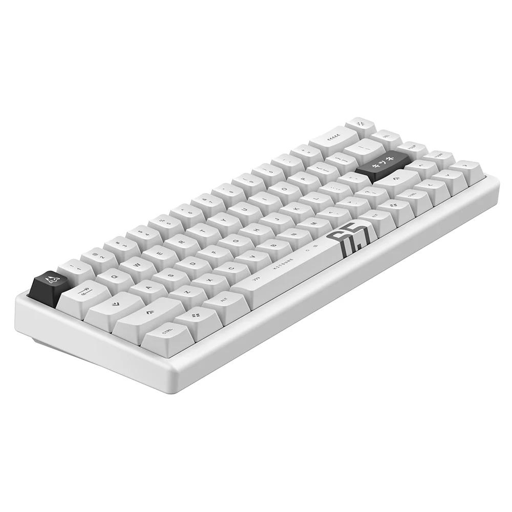 Arbiter Studio Polar 65 Pro Keyboard Kitsune White Frame - Image 7
